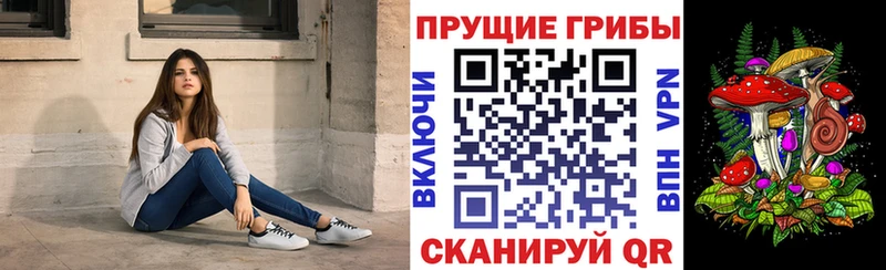 кракен как зайти  Нижний Ломов  Галлюциногенные грибы MAGIC MUSHROOMS  где купить наркоту 